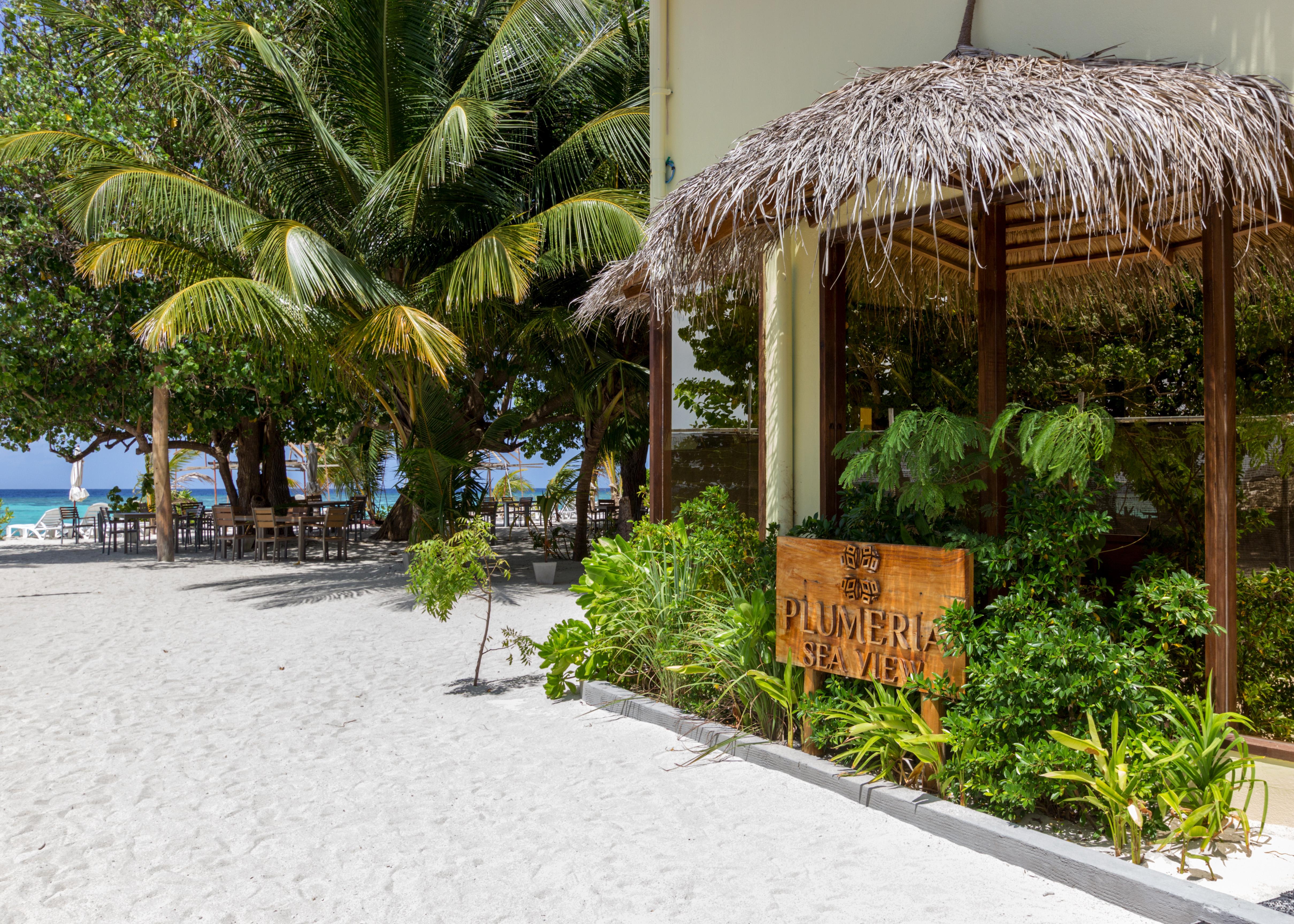 Plumeria Maldives Thinadhoo  Zewnętrze zdjęcie
