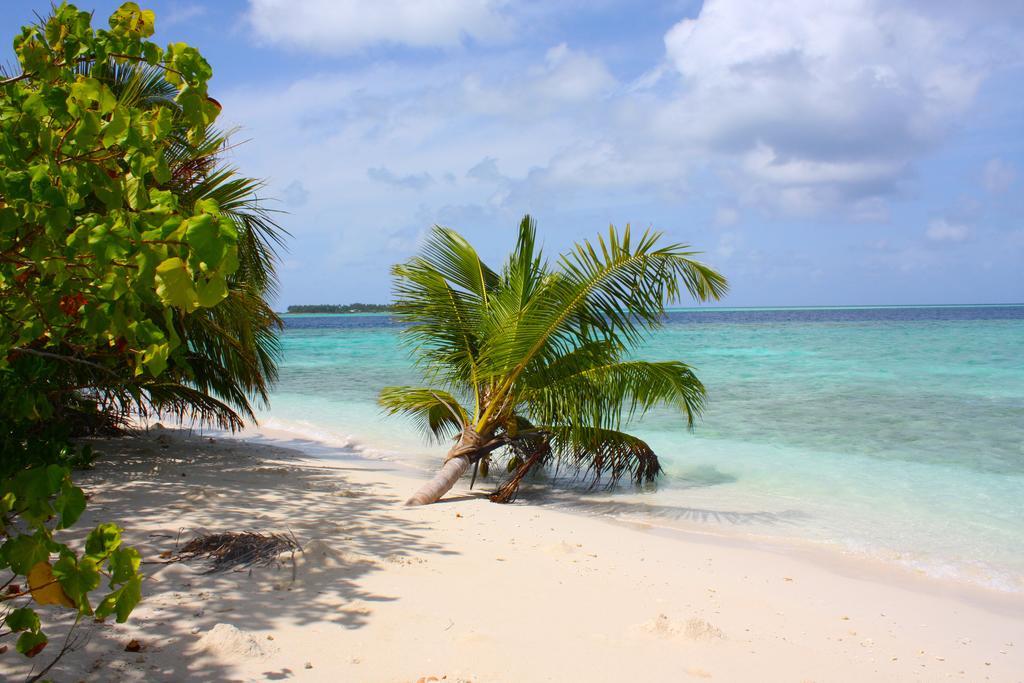 Plumeria Maldives Thinadhoo  Zewnętrze zdjęcie